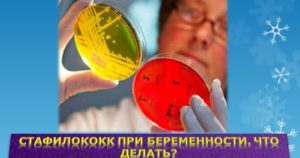 Стафилококк при беременности
