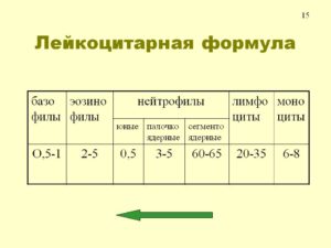 Лейкоцитарная формула