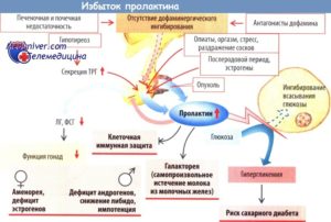 Повышен пролактин, мастопатия, нарушен цикл, частые стресы