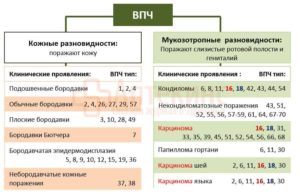 Вирус папилломы человека 56, 31 и 33 типа