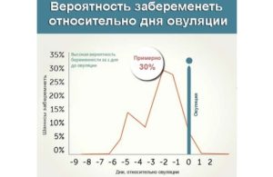 Вероятность беременности в конце цикла