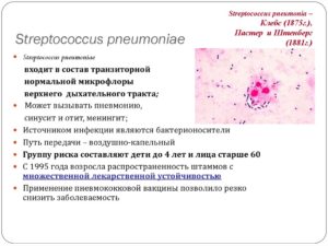 В мокроте обнаружили streptococcus pnevmonie