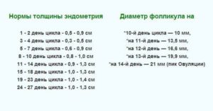 Норма эндометрия после месячных