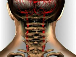 Болит шея справа при наклоне головы назад