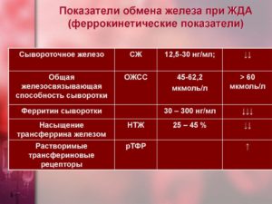 Анализ крови. Сывороточное железо