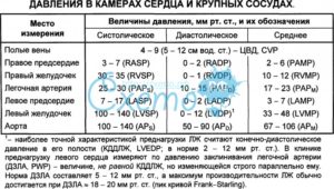 Размер легочной артерии у ребенка норма?