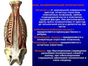 Патологическое образование в мягких тканях паравертебральной мышцы спины