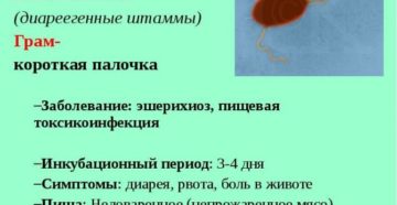 Escherichia coli в горле 10 в 6 степени Escherichia coli в горле 10 в 6 степени