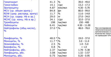 Повышены моноциты и лимфоциты