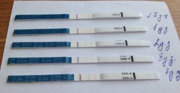 Задержка 4 недели