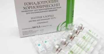 Размер фолликула и укол хгч