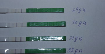 Тест на овуляцию 4 дня +