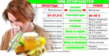 Две недели не проходит простуда Две недели не проходит простуда
