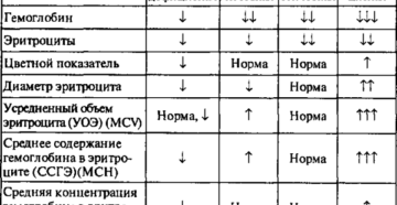 Анемия по анализам крови