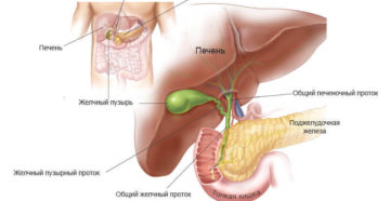 Билирубин после удаления желчного