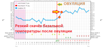 Почему не поднимается базальная температура после овуляции?