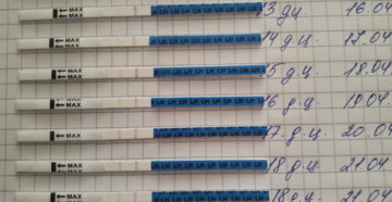 Овуляция при назначении дюфастона