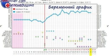К вечеру при беременности поднимается температура К вечеру при беременности поднимается температура