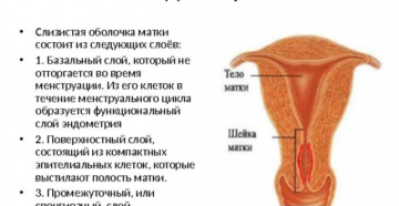 Не растет эндометрий Не растет эндометрий