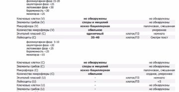 Палочковая флора в цитологии-норма?