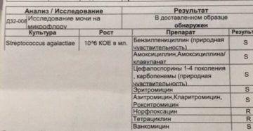 Стрептококк агалактия в моче при беременности 10 в 5