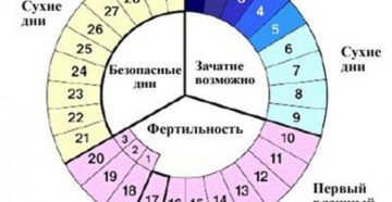 Какова вероятность забеременеть на 20 день цикла