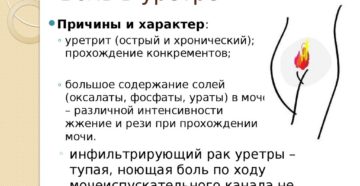 Неприятные ощущения после мочеиспускания и боли в области клитора Неприятные ощущения после мочеиспускания и боли в области клитора
