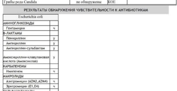 Кишечная палочка в мазке из зева