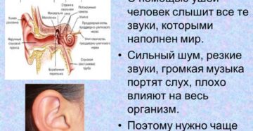 Левое ухо хуже слышит