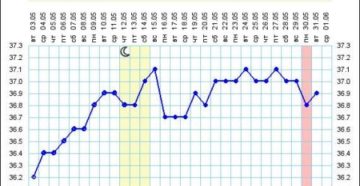 Возможна ли беременность на 29 день цикла?