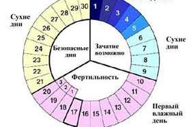 Как рассчитать цикл при приеме ок