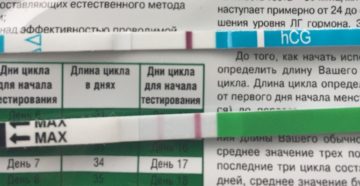 Беременность на 10 день цикла