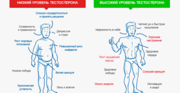 Высокий пролактин, низкий тестостерон