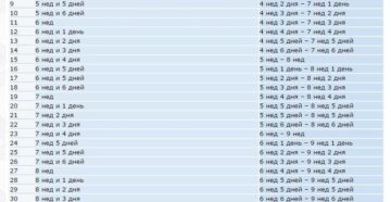 Срок беременности по размеру плодного яйца