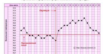 Овуляция, график базальной температуры