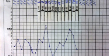 Овуляция два раза за цикл