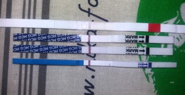 Беременность на 13 день цикла