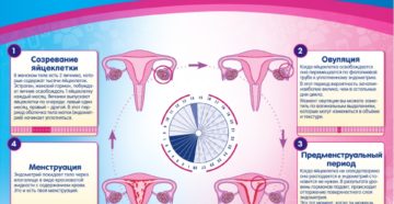 Задержка менструального цикла после отмены Мидианы