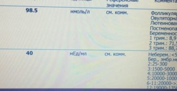 Анализ на ХГЧ информативность на 26 дц