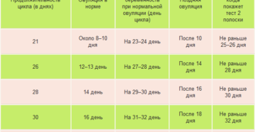 Можно ли забеременеть на 26 день цикла, при цикле 28-29 дней