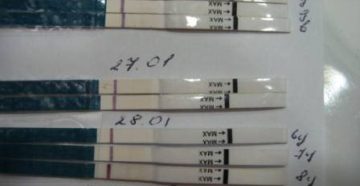 ХГЧ меньше 1,2