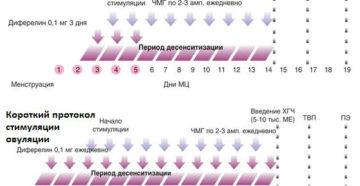 Короткий цикл при стимуляции овуляции летрозолом