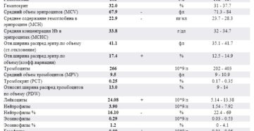 Лейкоциты и тромбоциты повышены у ребенка