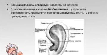Ножки завитка внешнего уха, боль при пальпации