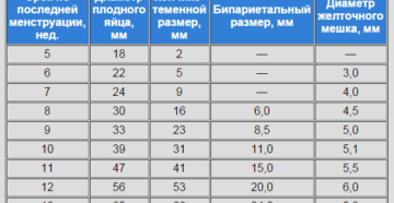 Размер плодного яйца