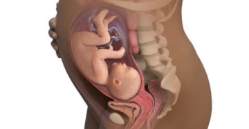 Беременность 38недель и 3дня Беременность 38недель и 3дня