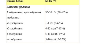 М-белок в гамма фракции