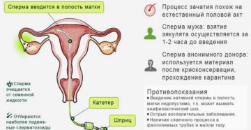 Вероятность беременности путем попадания спермы изо рта во влагалище