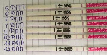 Отмена поддержки после криопереноса