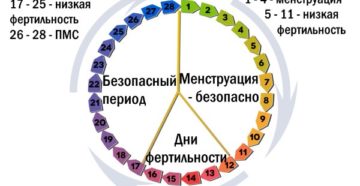 Месячные на 14 день цикла